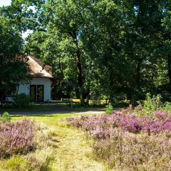 Beekje - Rolstoelvriendelijk en comfortabel 8p，位于奥特罗的酒店