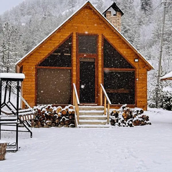 Cozy Cottage Feel Free continental，位于Didi Ateni的酒店