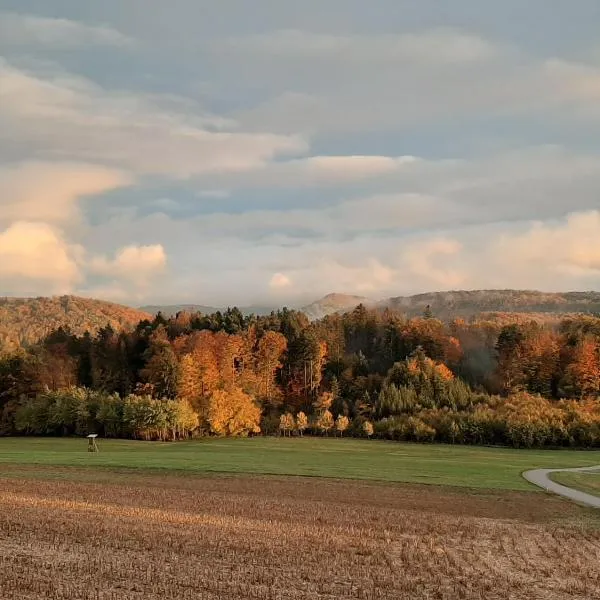 Hochsalerblick，位于里肯巴赫的酒店