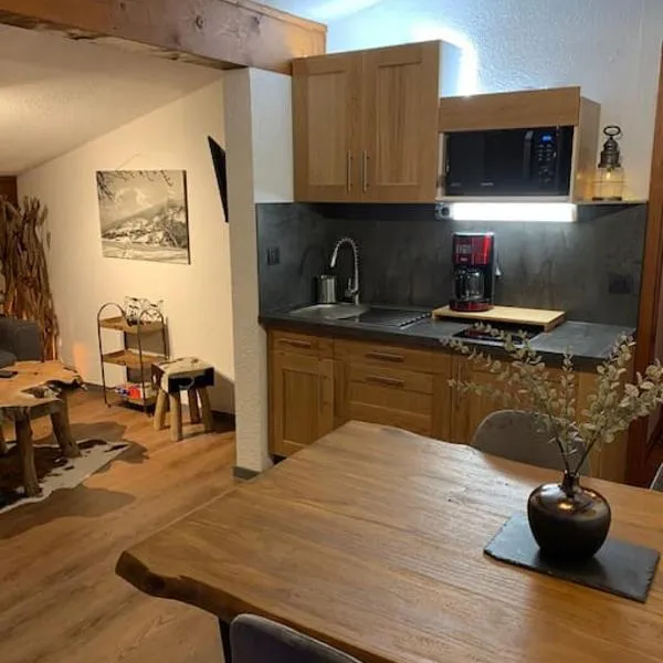 Chalet le Daim appartement 6 pers Vue Mont-Blanc，位于孔布卢的酒店