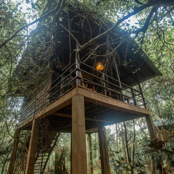 INN On The Tree Eco Resort Sigiriya，位于Nikawatawana的酒店