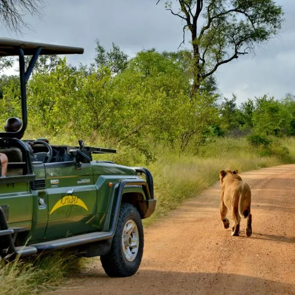 Kruger Safari Lodge，位于曼耶雷蒂野生动物园的酒店