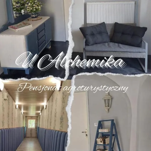 U Alchemika，位于博加蒂尼亚的酒店