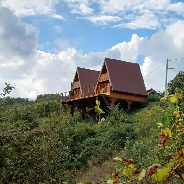 Glamping Čelig，位于Bednja的酒店