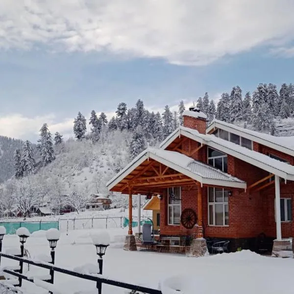 StayVista at Suroor with Central Heating in Tanmarg，位于Takia Batpur的酒店