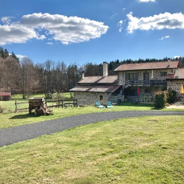 Moulin des Comtes - chambre des comtes，位于Viverols的酒店