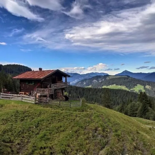 Almhütte Andrea，位于维尔德舍瑙的酒店