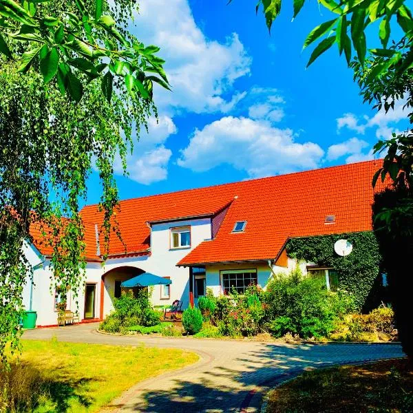 Top-moderne Ferienwohnung und Apartments auf früherem wunderschönen Bauernhof im Elbe-Elster-Kreis in Brandenburg bei Herzberg-Elster, Schönewalde, Holzdorf，位于Schönewalde的酒店