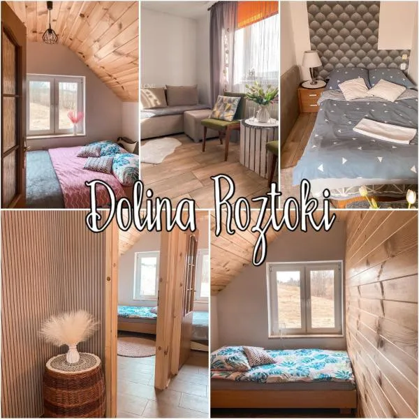 DOLINA ROZTOKI-mieszkanie,pokoje lub domek z lokalem na poddaszu，位于Wojtkowa的酒店