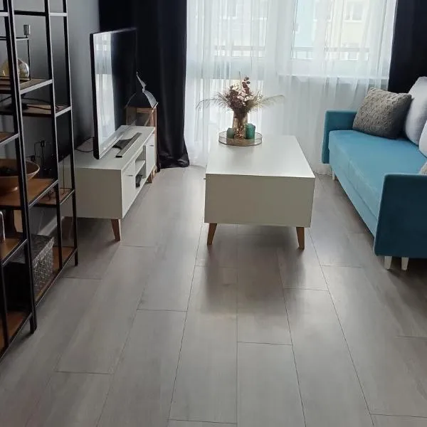 Apartament Kościuszki Iława，位于伊拉华的酒店