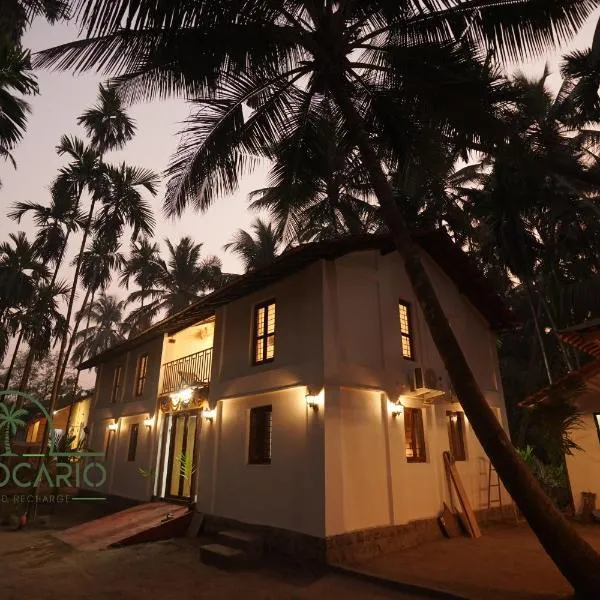 The Cocario，位于Revadanda的酒店