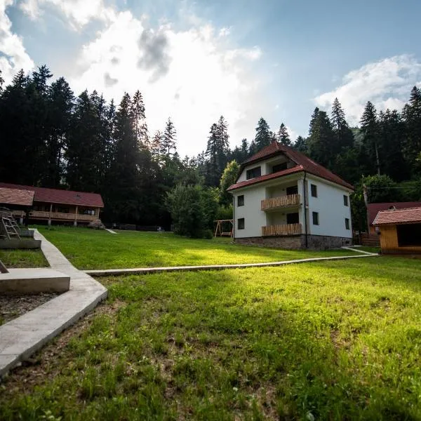 Forest Resort，位于伯伊莱图什纳德的酒店