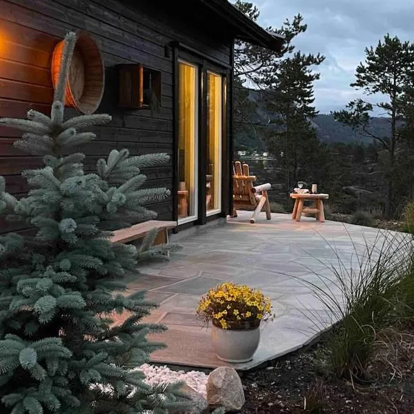 Cosy cabin between lake and mountain，位于Treungen的酒店