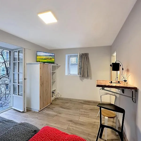 Studio 505 - Sion Old City - Swiss Alps，位于锡永的酒店