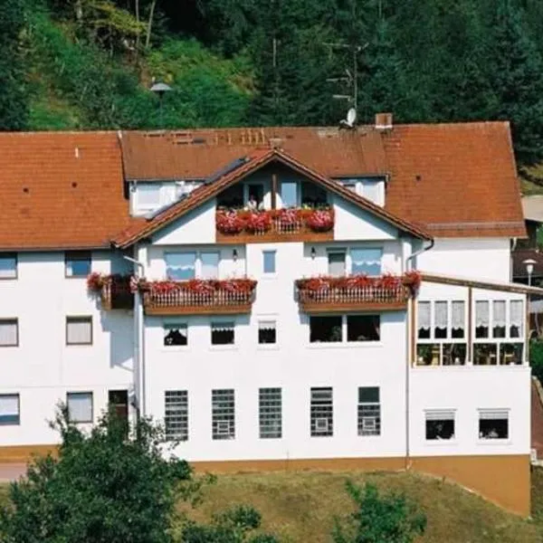 斯帕尔特沃尔德旅馆，位于瓦尔德-米谢尔巴赫的酒店