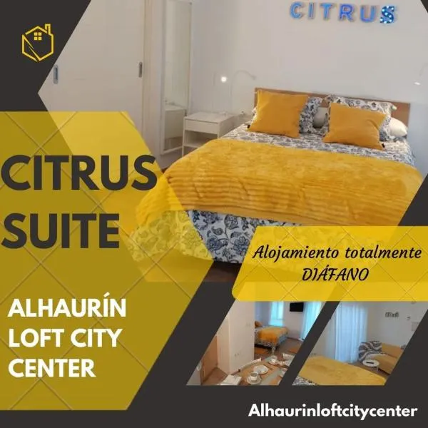 Citrus Suite by Alhaurín Loft City Center，位于阿尔豪林德拉托里的酒店