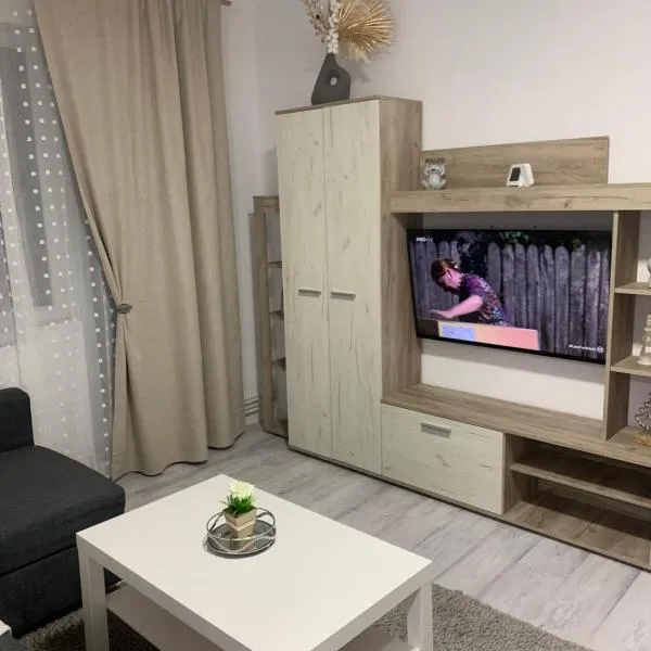 Apartament Elena，位于Stroe Beloescu的酒店