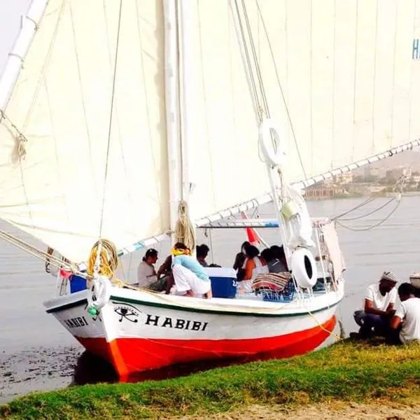 Felucca Sailing Boat Overnight Experience，位于阿斯旺的酒店