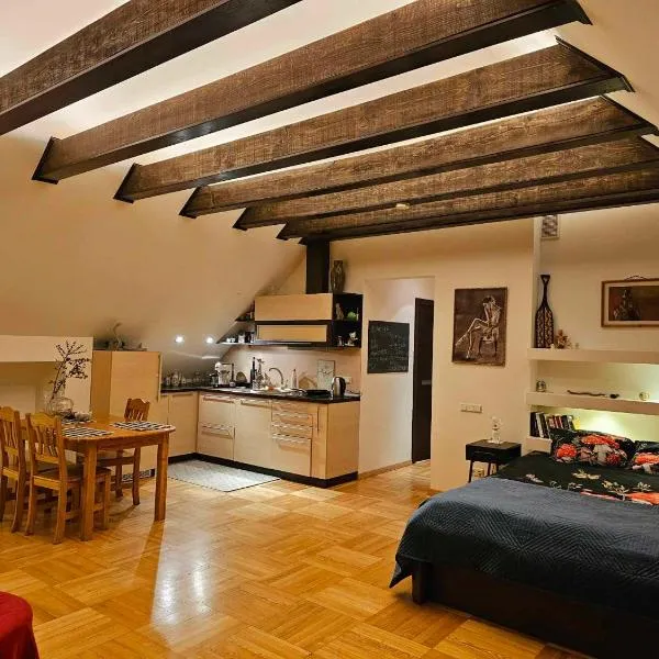 Jeruzale Park view，位于维尔纽斯的酒店