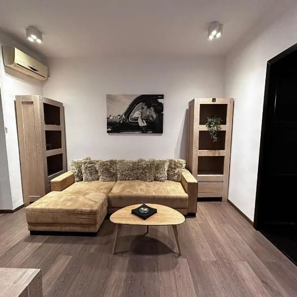 elisio - Pani Nani Apartment，位于布拉索夫的酒店