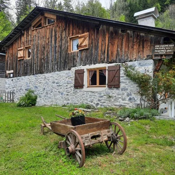 Chalet la corne du chamois，位于西克斯特的酒店