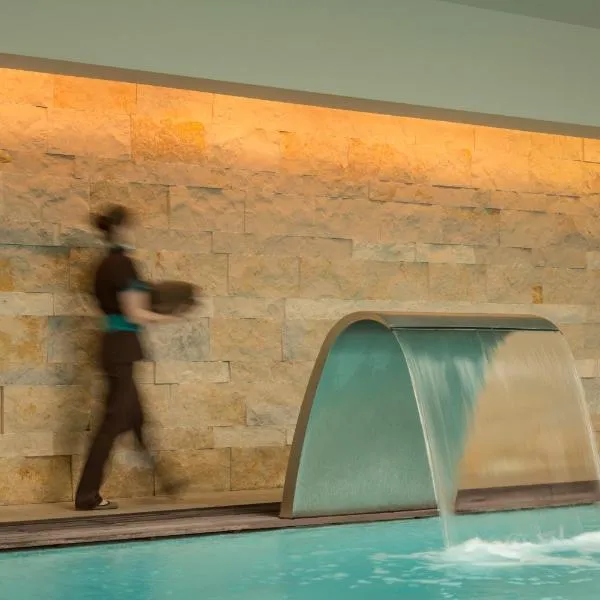 多姆贡萨洛水疗酒店，位于Casais da Abadia的酒店