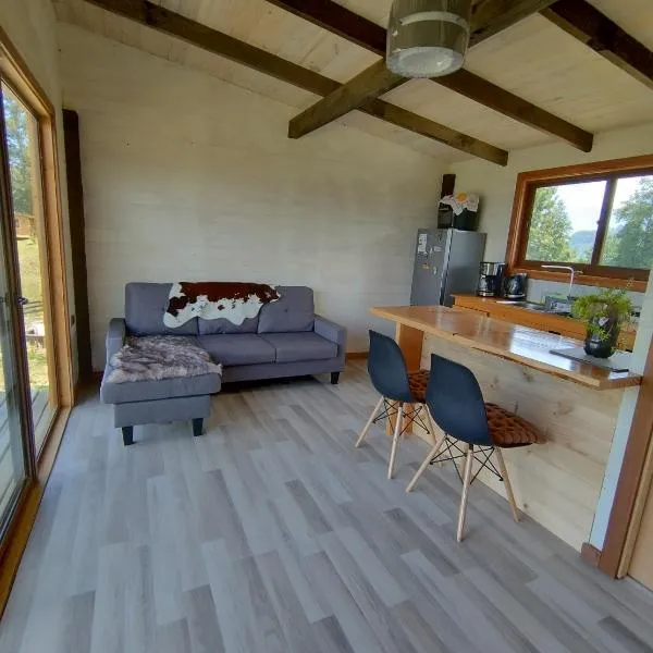 tiny house comuy，位于Ranco的酒店