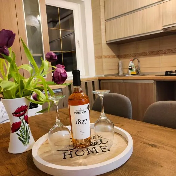 Mountain View Apartment，位于彼得罗沙尼的酒店