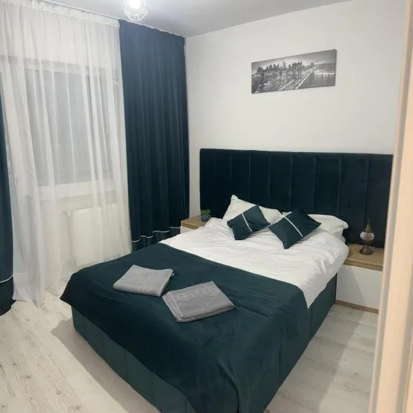 Studio - Cozy Home Slatina，位于Brebeni的酒店