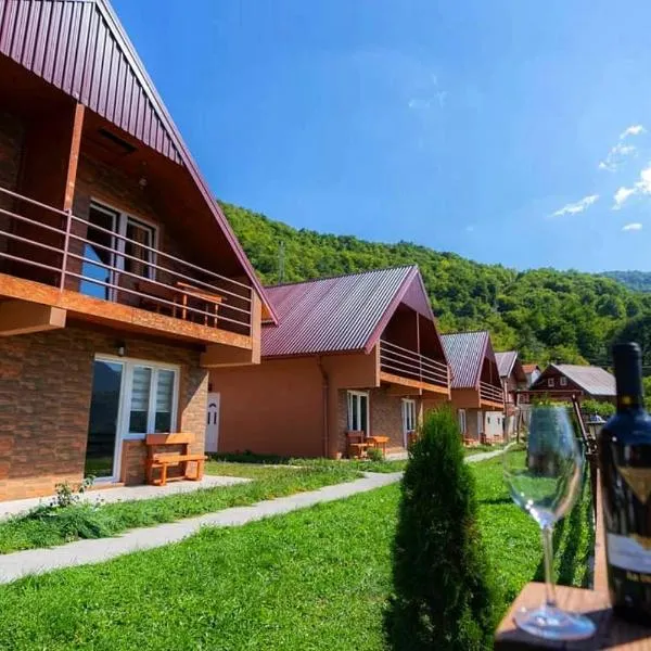 Guesthouse Madzarevic，位于普卢日内的酒店