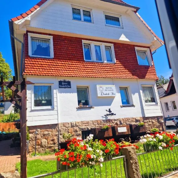 Hotel Elisabeth Ilse，位于布劳恩拉格的酒店