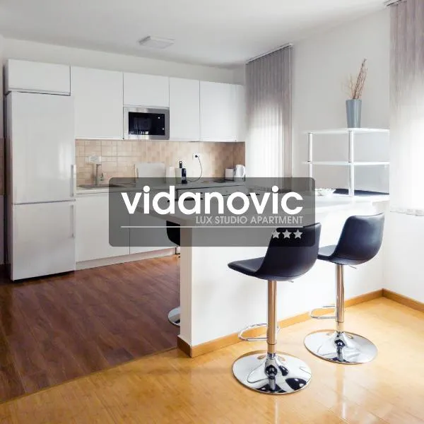 Lux Studio Apartment Vidanovic，位于皮罗特的酒店