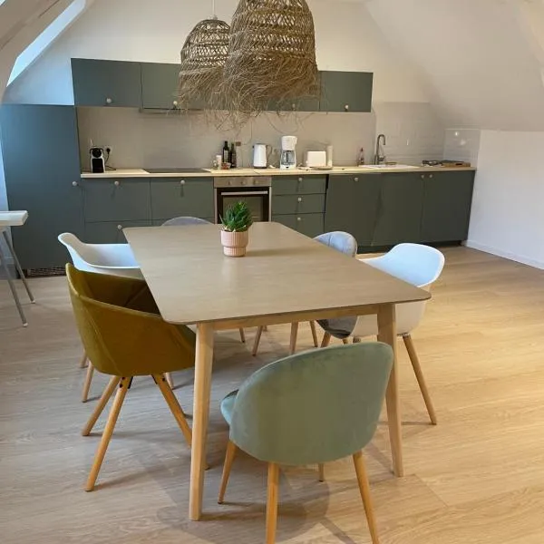 Family loft à 5minutes du Zooparc de Beauval，位于Châteauvieux的酒店
