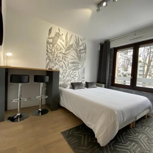 Studios & chambres aux portes de Genève，位于圣朱利安恩因的酒店