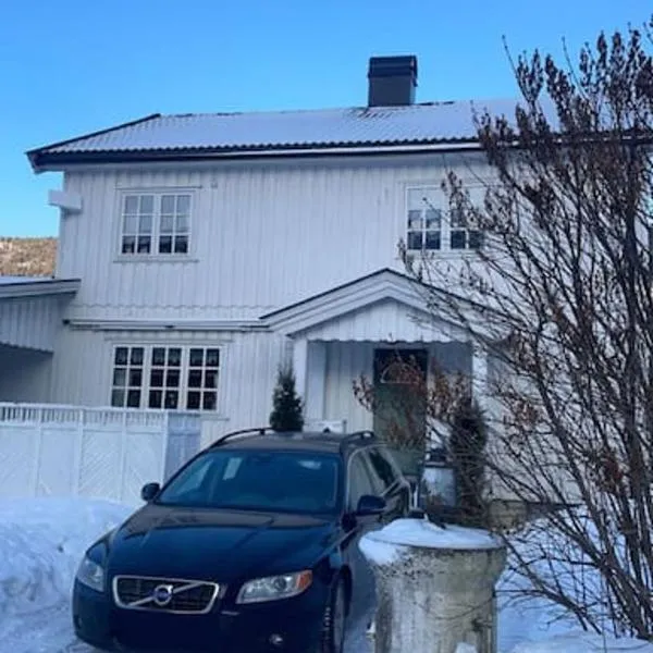 Familievennlig fritidsbolig i hjertet av Flå, perfekt for besøk i Bjørneparken，位于弗洛的酒店