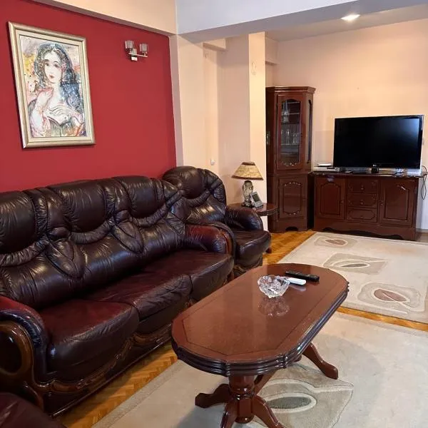 cvetkovski apartment，位于泰托沃的酒店