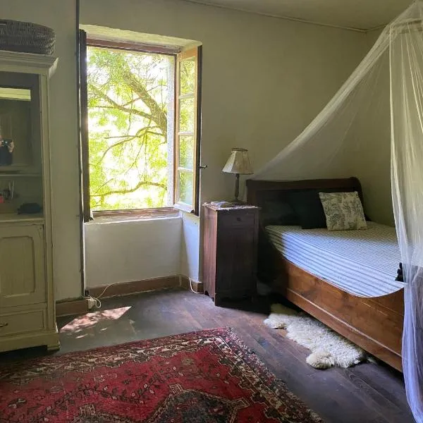 La Maison dans la forêt，位于Vabre的酒店
