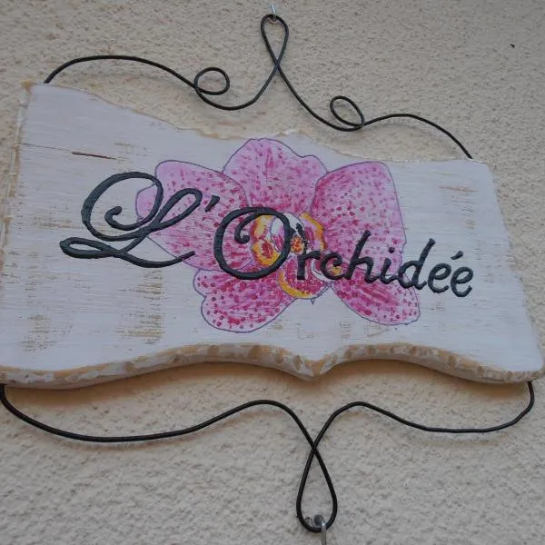 洛尔奇迪住宿加早餐旅馆，位于Aigues-Vives的酒店