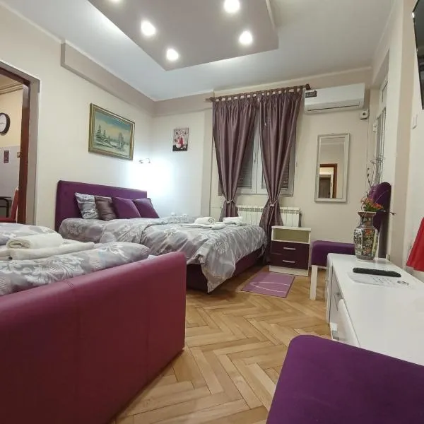 Apartments & Rooms -MDL Lazić，位于Vinča的酒店