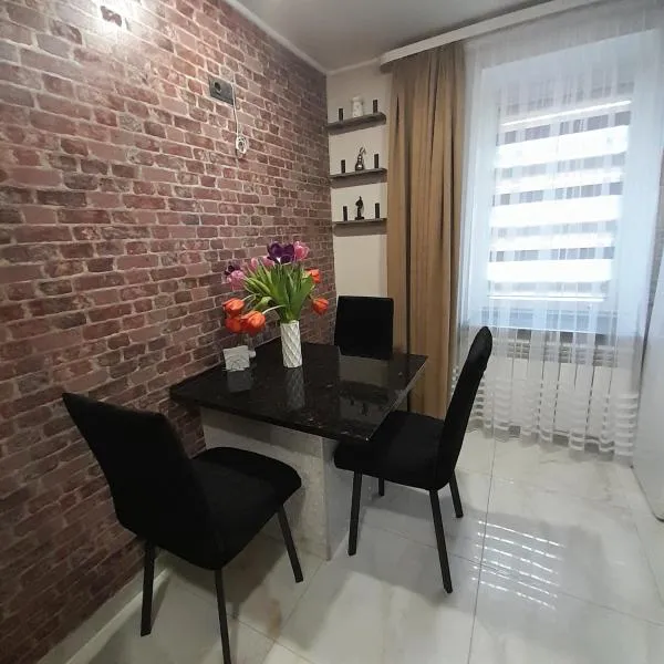 Lux apartment in city center，位于Keleberda的酒店