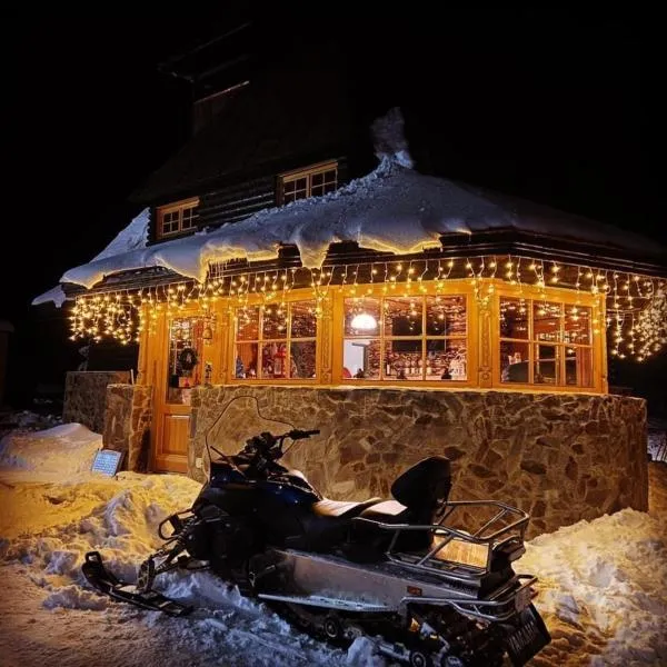 The Post Stana de Vale，位于斯塔纳德瓦勒的酒店