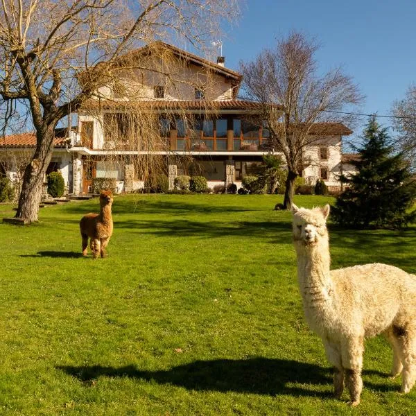 Casa Rural Flor de Vida - B&B，位于Oskotz的酒店