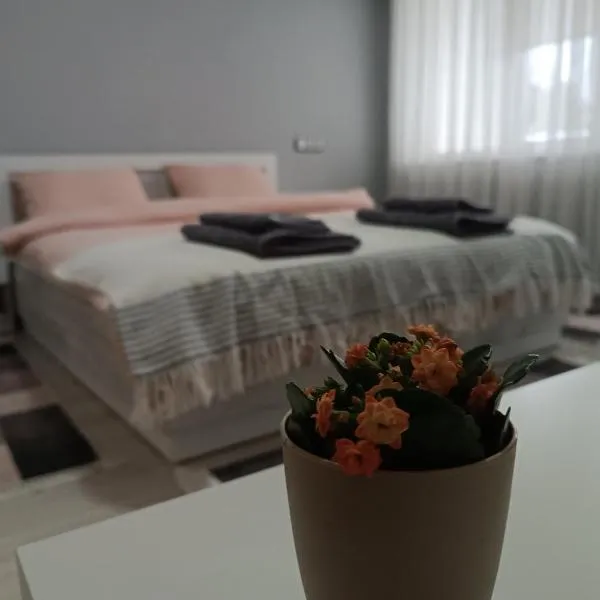 City Apartment，位于Popovi Livadi的酒店