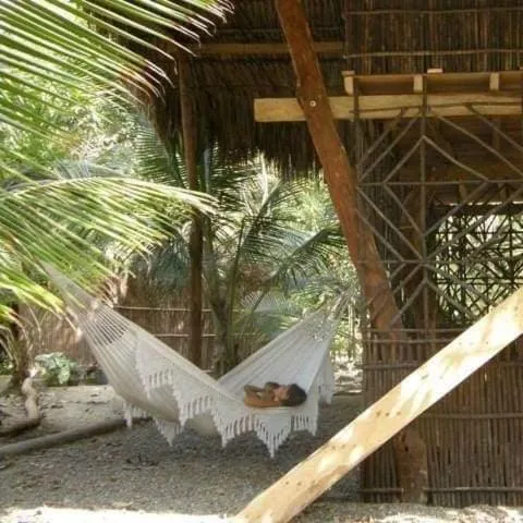 Pajarito Eco-Lodge frente al mar，位于Cedro的酒店