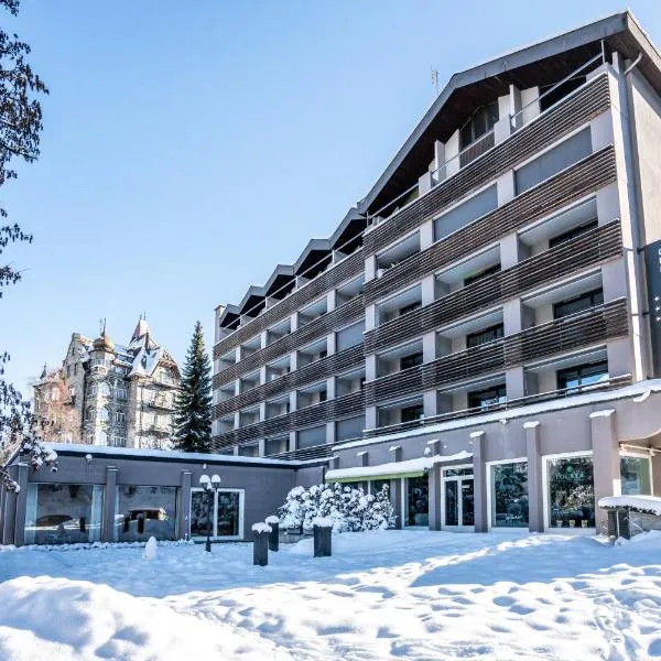 Studio im Hotel Des Alpes，位于弗利姆斯的酒店