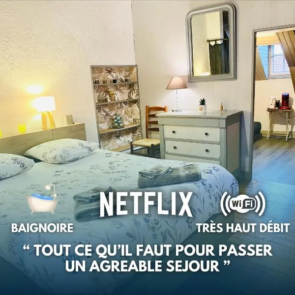 Logements Un Coin de Bigorre - T2 de campagne - Canal plus & Netflix - Wifi fibre - Centre village，位于Artiguemy的酒店