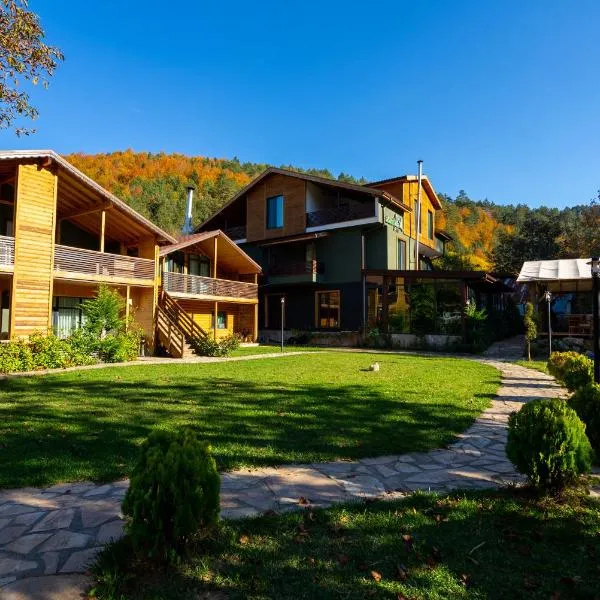 Abant Villa Otel，位于Arkaoğluköyü的酒店