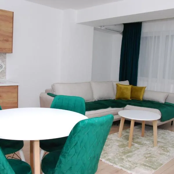 Apartman Delevi，位于斯特鲁米察的酒店