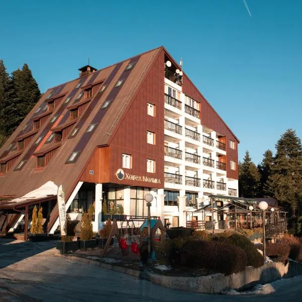 莫利卡酒店，位于Dolno Dupeni的酒店