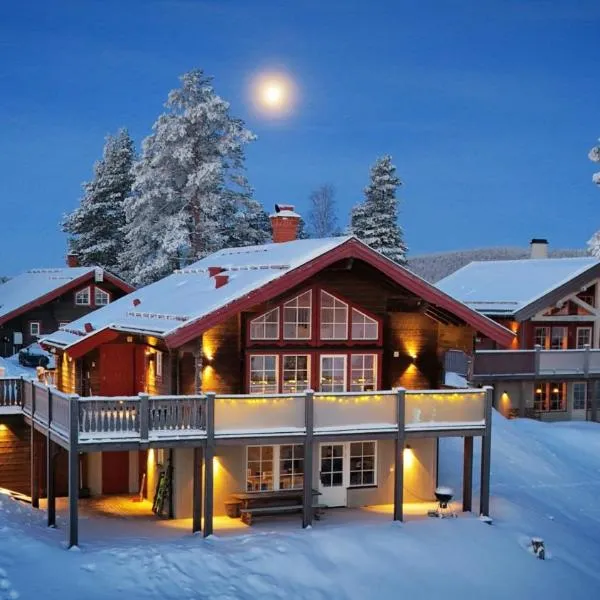 Alpstigen 6A - 10 bäddars fjällstuga mitt i Järvsöbacken，位于耶尔夫瑟的酒店